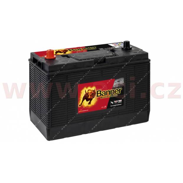 105Ah baterie 1000A BANNER pro užitková vozidla CATERPILLAR 330x171x218(241) BA 60502 BANNER