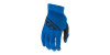 rukavice PRO LITE 2020, FLY RACING - USA (modrá/černá , vel. 3XL) M172-352-3XL FLY RACING