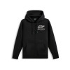 mikina FORMULATION HOODIE, ALPINESTARS (černá, vel. 2XL) M180-639-2XL ALPINESTARS