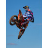 alpinestars-m170-0375-10.jpg