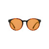 red-bull-spect-m000-1517-2.jpg